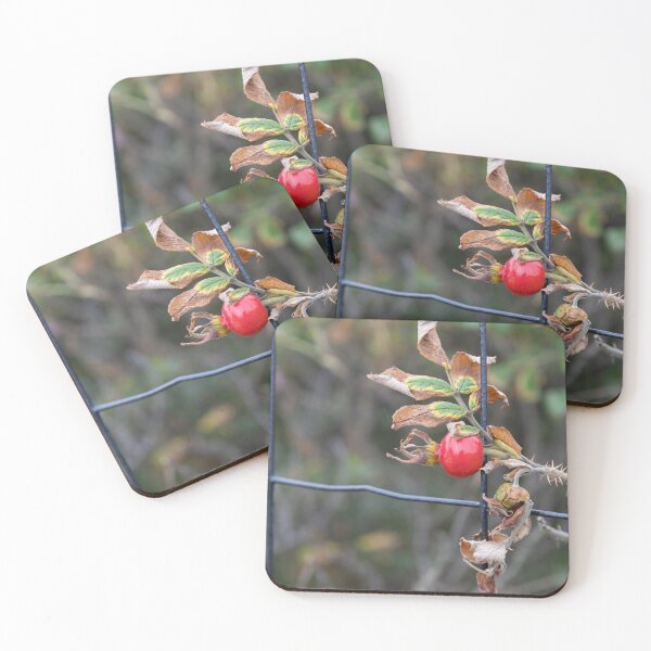 Item preview, Rose Hip designed and sold by Calidris Fotografie Steffi & Ben Köppler.
