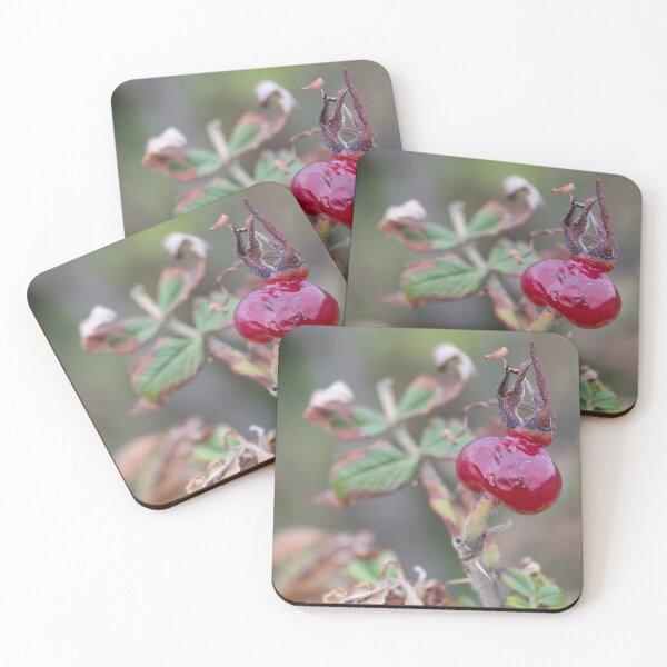 Item preview, rose hip designed and sold by Calidris Fotografie Steffi & Ben Köppler.
