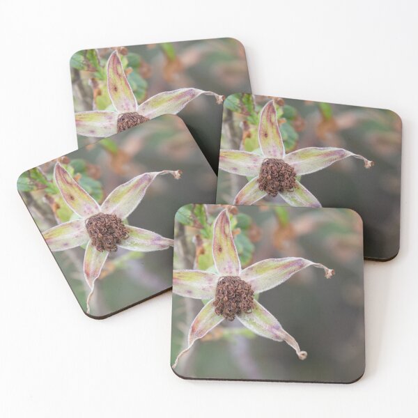 Item preview, Beach Rose designed and sold by Calidris Fotografie Steffi & Ben Köppler.