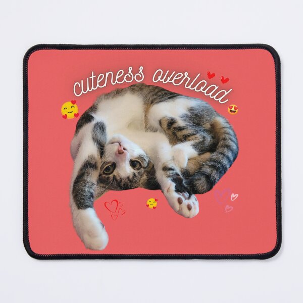 Item preview, cuteness overload | Cat Design | by Paydaypilot designed and sold by Paydaypilot.