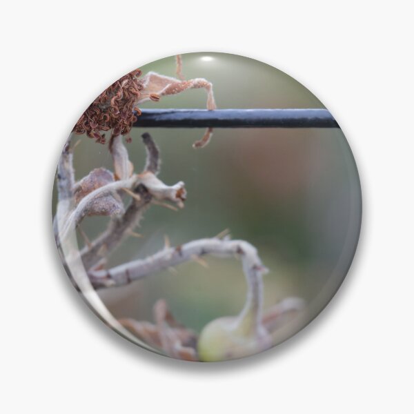 Item preview, Beach Rose designed and sold by Calidris Fotografie Steffi & Ben Köppler.