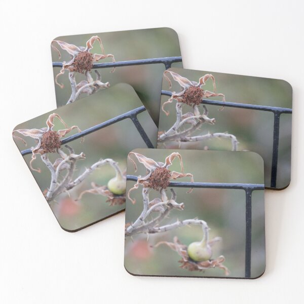 Item preview, Beach Rose designed and sold by Calidris Fotografie Steffi & Ben Köppler.