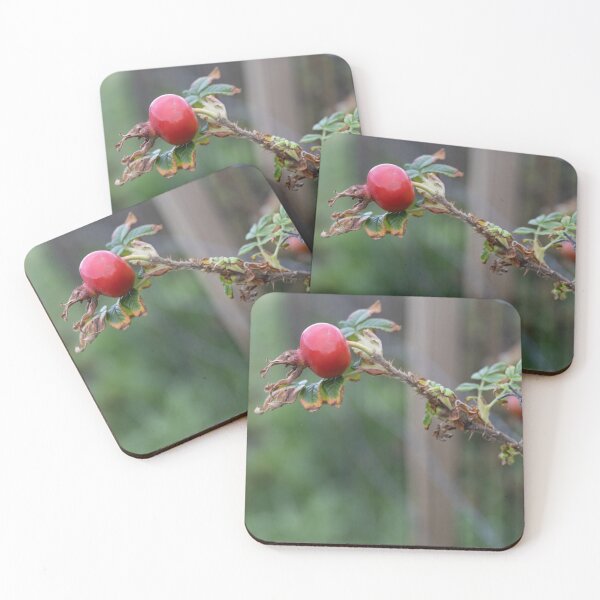 Item preview, Rose Hip designed and sold by Calidris Fotografie Steffi & Ben Köppler.