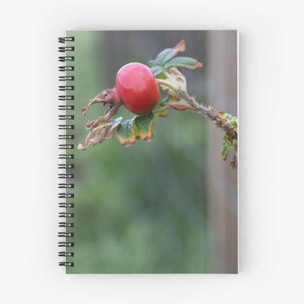 Item preview, Rose Hip designed and sold by Calidris Fotografie Steffi & Ben Köppler.