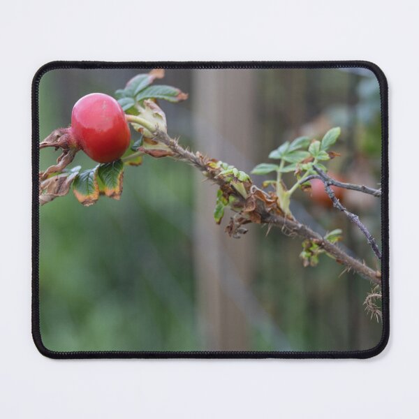 Item preview, Rose Hip designed and sold by Calidris Fotografie Steffi & Ben Köppler.