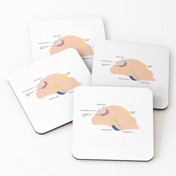 Item preview, brain areas designed and sold by rosipos.