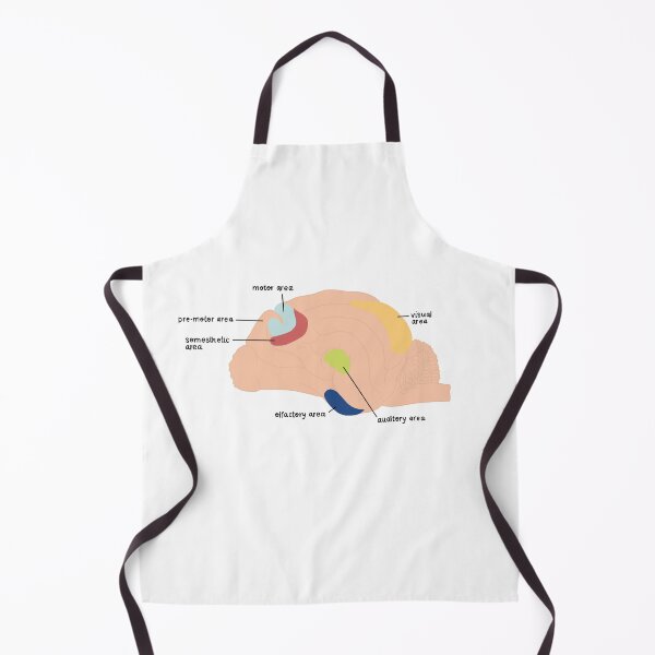 Item preview, brain areas designed and sold by rosipos.