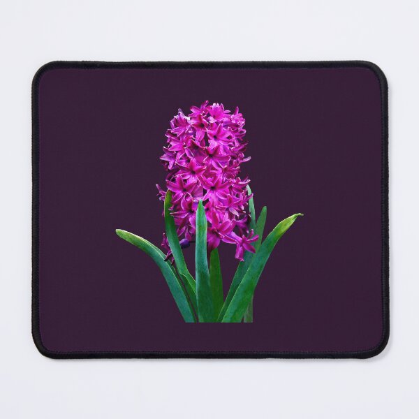 Item preview, Magenta Hyacinth designed and sold by Susan Savad.