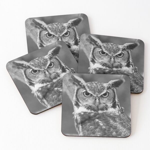 Item preview, Eurasian Eagle Owl BW designed and sold by fleesphotos.