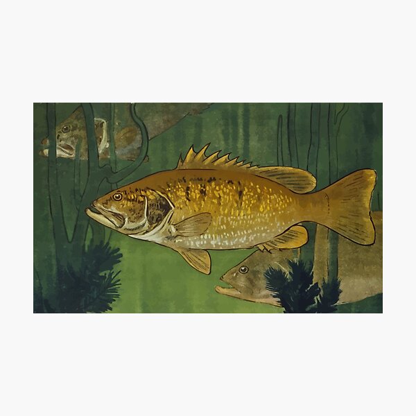 Item preview, Swimming fish designed and sold by simbamerch.