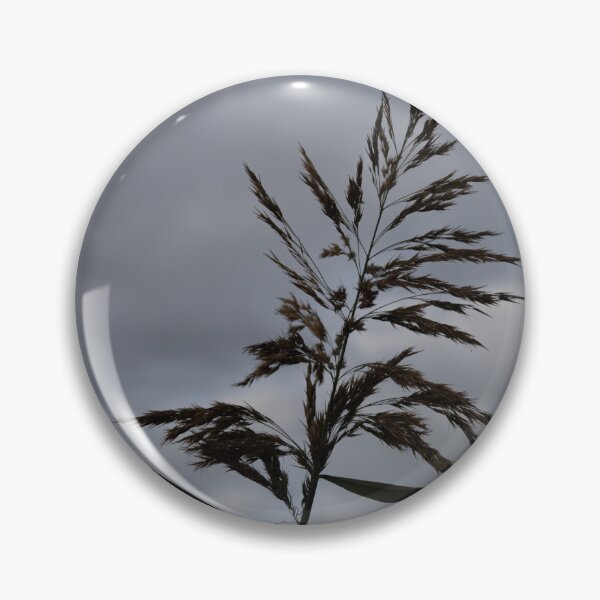 Item preview, Common Reed designed and sold by Calidris Fotografie Steffi & Ben Köppler.