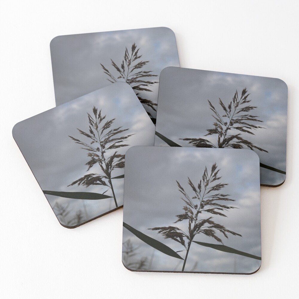 Item preview, Coasters (Set of 4) designed and sold by steffik.