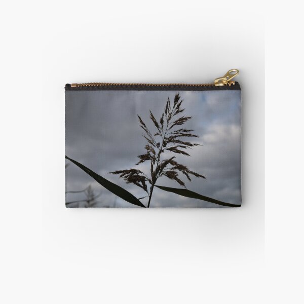 Item preview, Common Reed designed and sold by Calidris Fotografie Steffi & Ben Köppler.