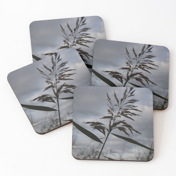 Item preview, Common Reed designed and sold by Calidris Fotografie Steffi & Ben Köppler.