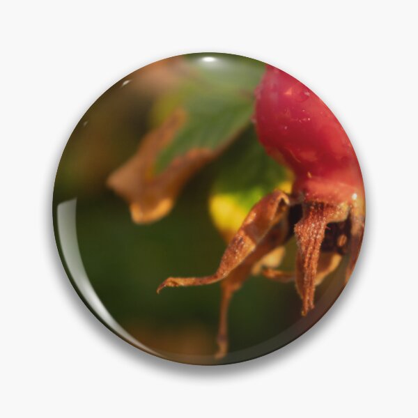 Item preview, Rose Hip designed and sold by Calidris Fotografie Steffi & Ben Köppler.