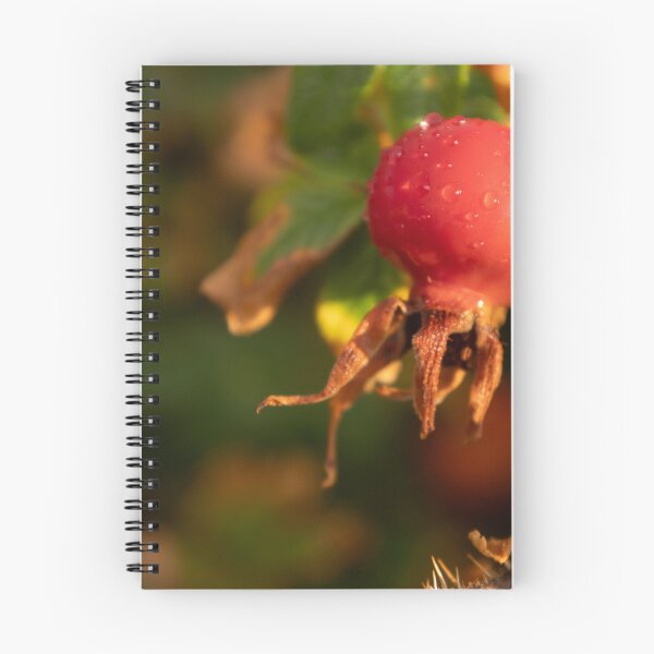 Item preview, Rose Hip designed and sold by Calidris Fotografie Steffi & Ben Köppler.