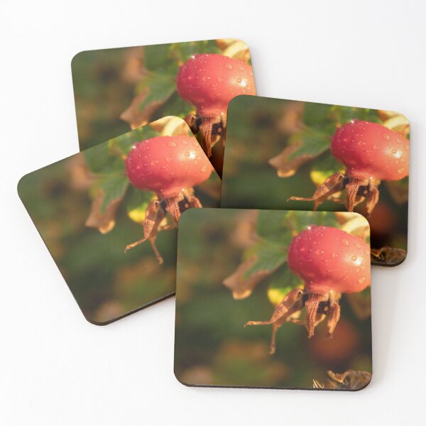 Item preview, Rose Hip designed and sold by Calidris Fotografie Steffi & Ben Köppler.