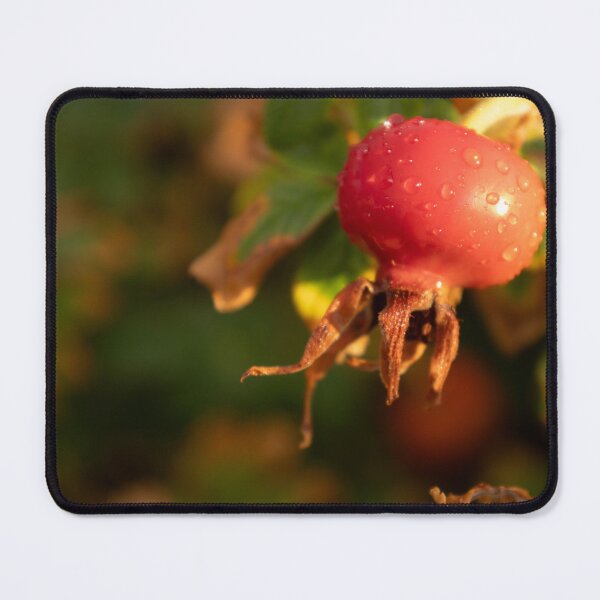 Item preview, Rose Hip designed and sold by Calidris Fotografie Steffi & Ben Köppler.