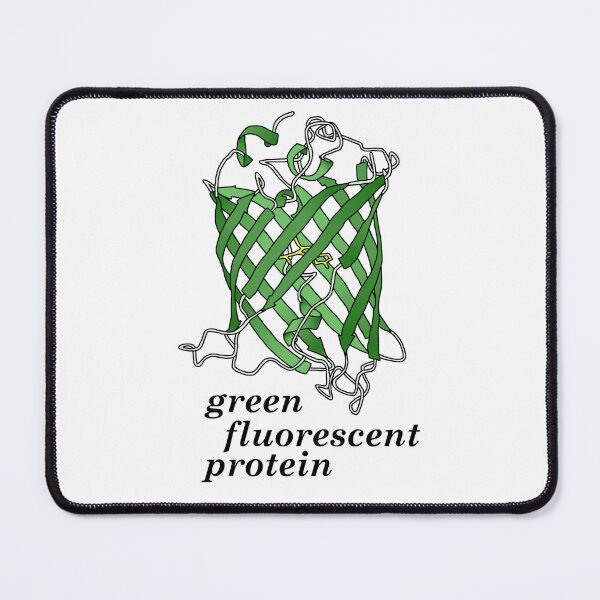 Item preview, Green Fluorescent Protein (white) designed and sold by dbulnesr.