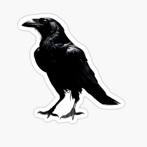 The black and shadowy Crow Sticker