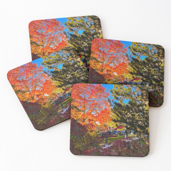 Item preview, Sprocket Rockets in fall designed and sold by RollingRC.