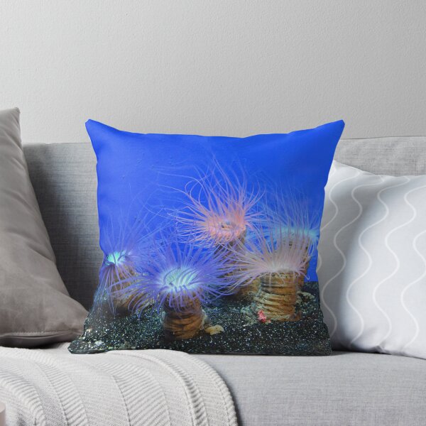Item preview, Anenome designed and sold by Nature's Reflections.
