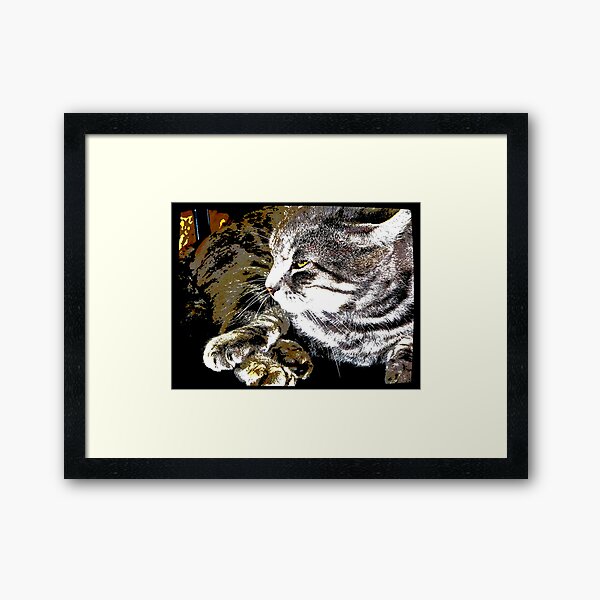 We are not amused.... Framed Art Print