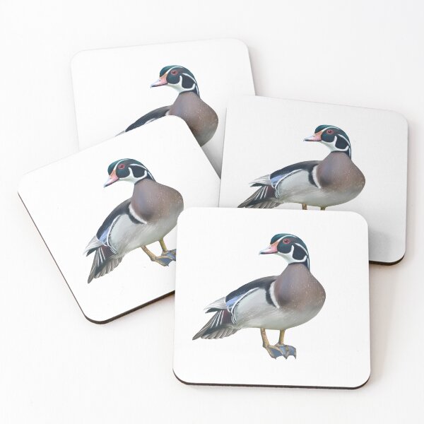 Item preview, Wood Duck Drake designed and sold by Wondersofwhimsy.