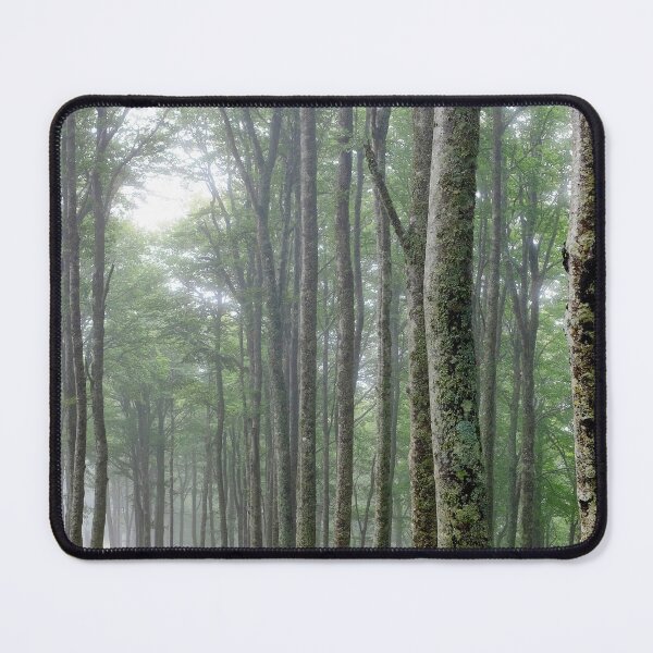 Item preview, Forest track designed and sold by troianifabrizio.