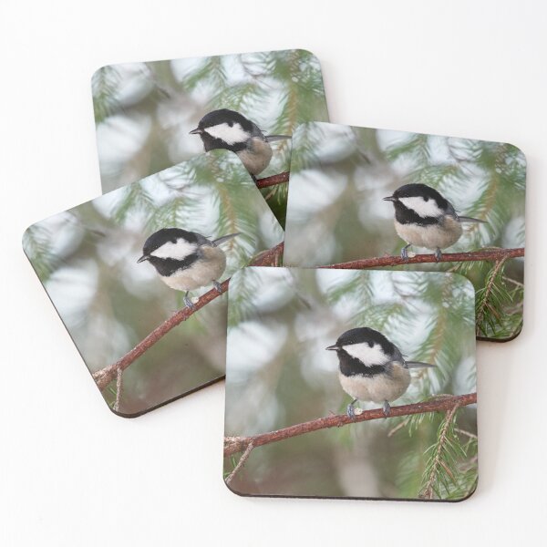 Item preview, Shine in your eyes. Coal tit designed and sold by Jouko Lehto Photography.