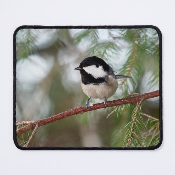 Item preview, Shine in your eyes. Coal tit designed and sold by Jouko Lehto Photography.