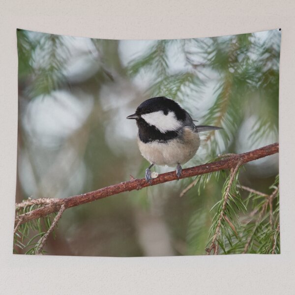 Item preview, Shine in your eyes. Coal tit designed and sold by Jouko Lehto Photography.