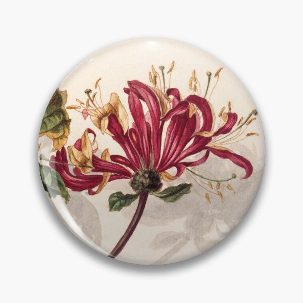 Item preview, Branch of Wild Honeysuckle (Lonicera Periclymenum) | Barend Hendrik Thier designed and sold by LaMadeleine.