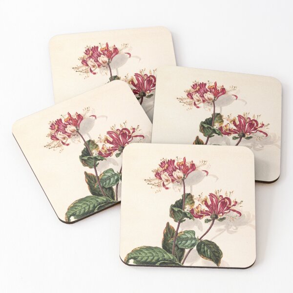 Item preview, Branch of Wild Honeysuckle (Lonicera Periclymenum) | Barend Hendrik Thier designed and sold by LaMadeleine.