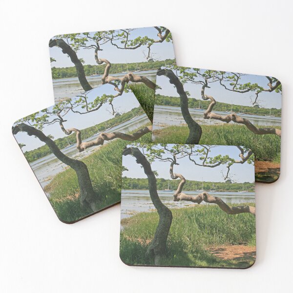Item preview, Beaulieu River, Hampshire, June 2023 designed and sold by RedHillDigital.