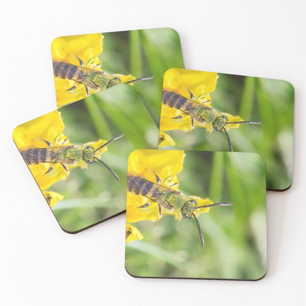 Item preview, Last of the Pollens designed and sold by TammyRaybould.