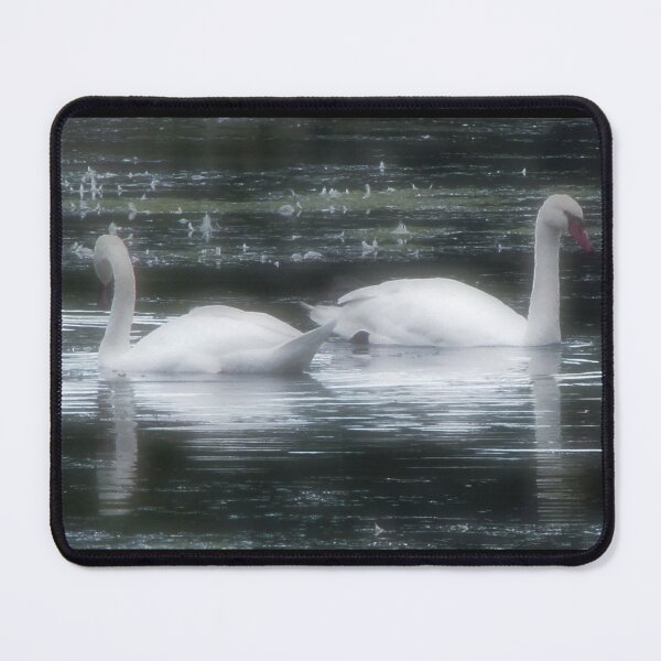 Item preview, Swans designed and sold by ArtOfE.