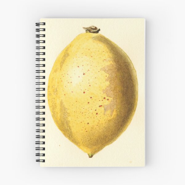 Item preview, Vintage Lemon Watercolor Painting designed and sold by BravuraMedia.