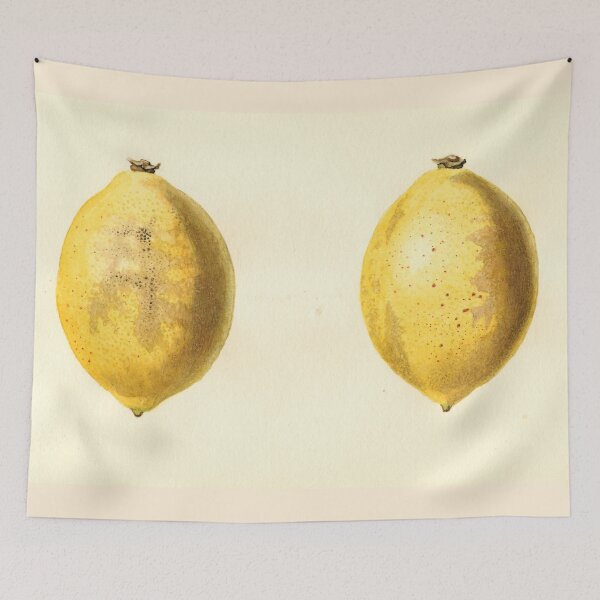 Item preview, Vintage Lemon Watercolor Painting designed and sold by BravuraMedia.