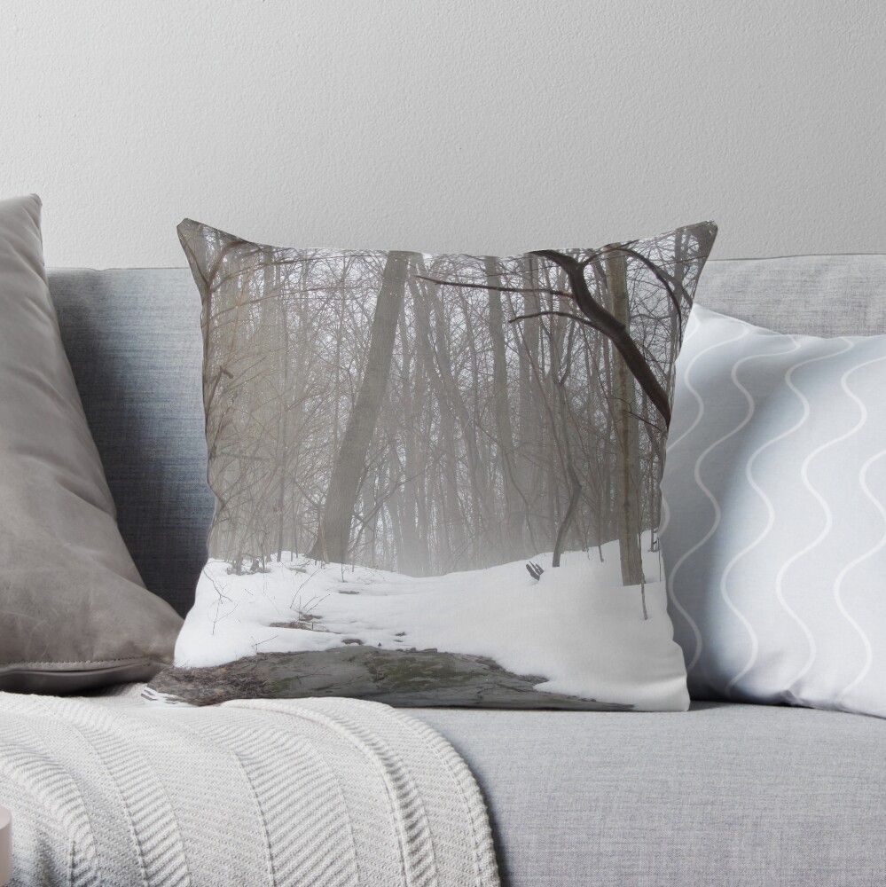 Journey Throw Pillow