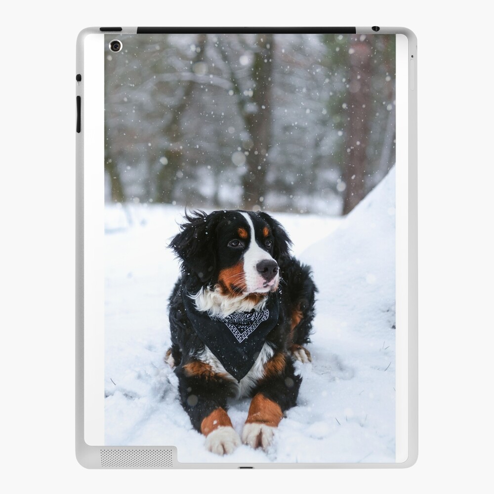 Dog Cover With Dog Drawing In The Snow Ipad Case Skin By Lizandro Redbubble