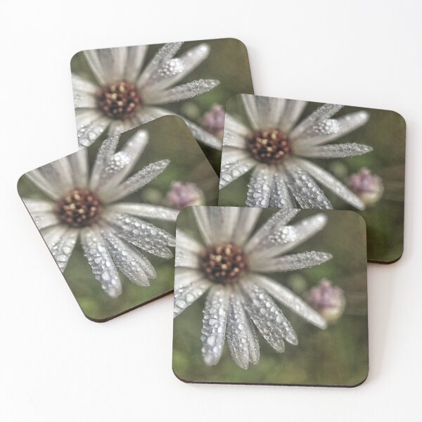Item preview, African Daisy designed and sold by Jason Tompkins.