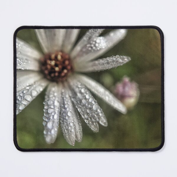 Item preview, African Daisy designed and sold by Jason Tompkins.
