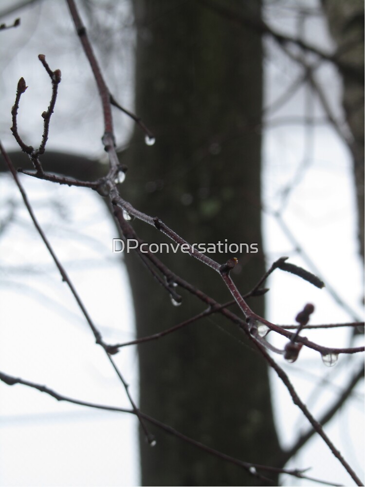 Fragile Forces by DPconversations