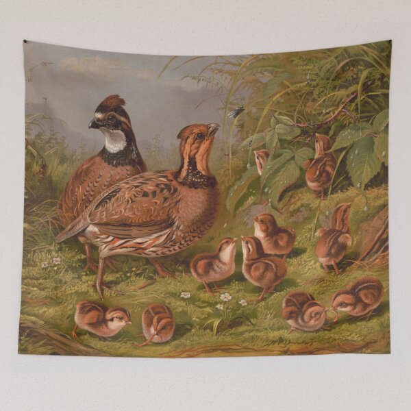 Item preview, Vintage Quails & Their Chicks Illustration (1867) designed and sold by BravuraMedia.