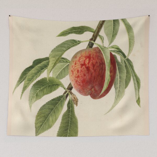 Item preview, Vintage Illustration of a Peach Branch  designed and sold by BravuraMedia.