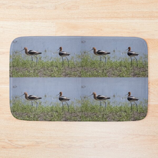 Item preview, American Avocets  designed and sold by CarolM.