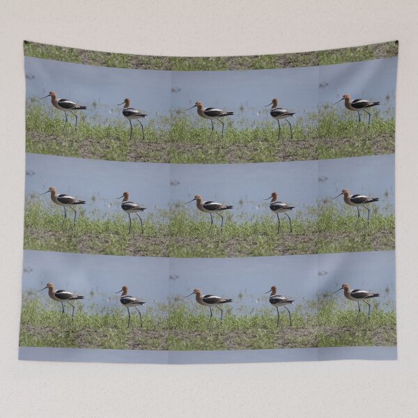 Item preview, American Avocets  designed and sold by CarolM.