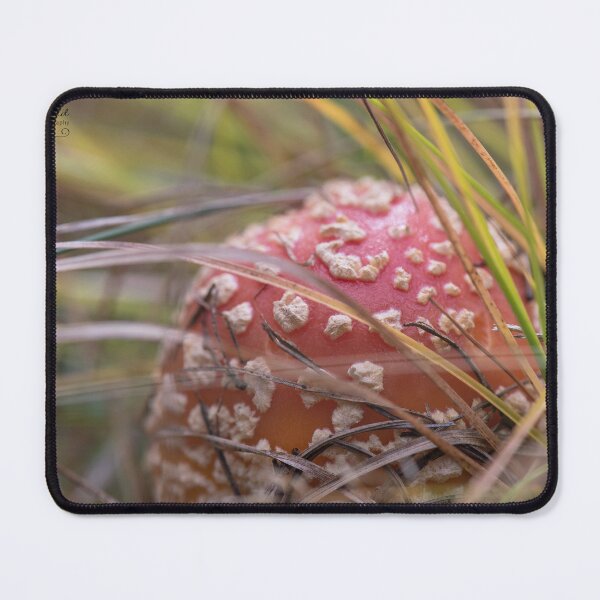 Item preview, Red Mushroom designed and sold by TammyRaybould.