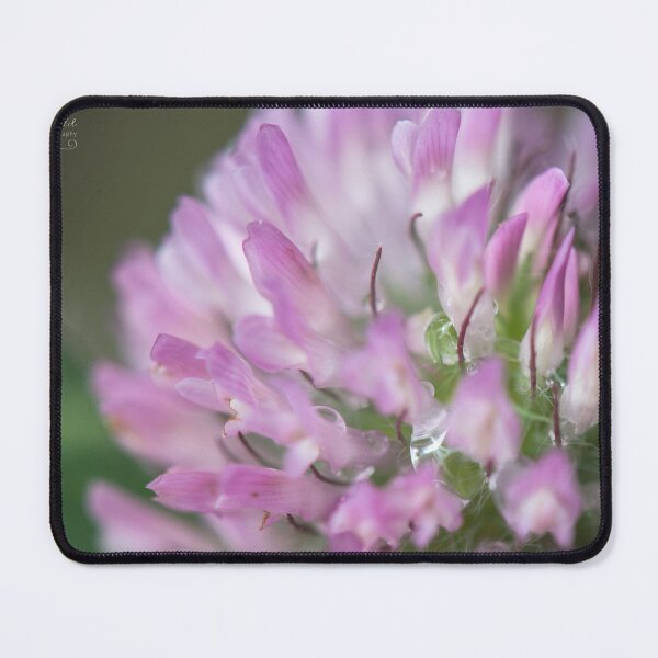 Item preview, Clover Flower designed and sold by TammyRaybould.